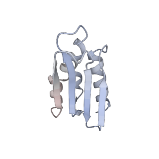 10779_6ydw_Bp_v1-1
55S mammalian mitochondrial ribosome with mtEFG1 and two tRNAMet (TI-POST)
