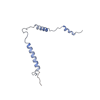 10779_6ydw_Bt_v1-1
55S mammalian mitochondrial ribosome with mtEFG1 and two tRNAMet (TI-POST)