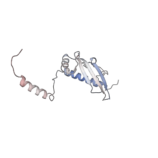 10779_6ydw_Bu_v1-1
55S mammalian mitochondrial ribosome with mtEFG1 and two tRNAMet (TI-POST)