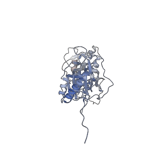 10779_6ydw_Bw_v1-1
55S mammalian mitochondrial ribosome with mtEFG1 and two tRNAMet (TI-POST)