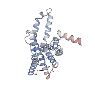 33747_7ydh_R_v1-3
Cryo EM structure of CD97/miniG13 complex