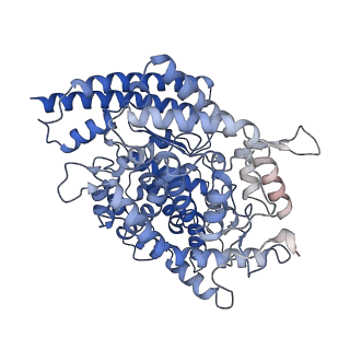 33748_7ydi_A_v1-2
SARS-CoV-2 Spike (6P) in complex with 3 R1-32 Fabs and 3 ACE2, focused refinement of RBD region