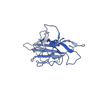 33748_7ydi_E_v1-2
SARS-CoV-2 Spike (6P) in complex with 3 R1-32 Fabs and 3 ACE2, focused refinement of RBD region