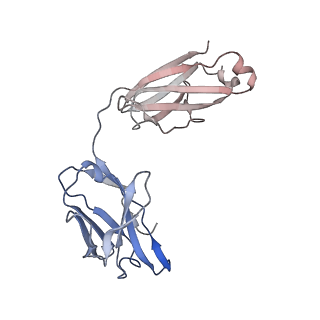 33748_7ydi_L_v1-2
SARS-CoV-2 Spike (6P) in complex with 3 R1-32 Fabs and 3 ACE2, focused refinement of RBD region