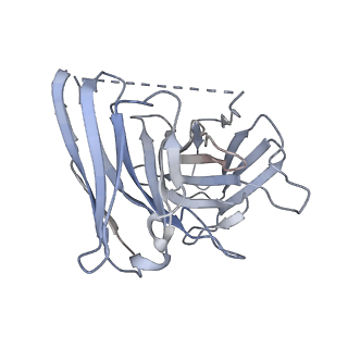 33749_7ydj_E_v1-0
Cryo EM structure of CD97/miniG12 complex