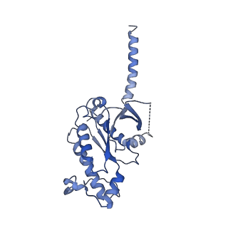 33753_7ydm_A_v1-3
Cryo-EM structure of CD97/Gq complex