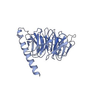 33753_7ydm_B_v1-3
Cryo-EM structure of CD97/Gq complex