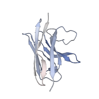 33753_7ydm_N_v1-3
Cryo-EM structure of CD97/Gq complex