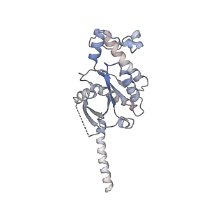 33755_7ydp_A_v1-3
Cryo-EM structure of CD97/miniGs complex