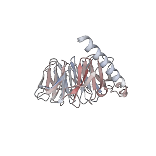 33755_7ydp_B_v1-3
Cryo-EM structure of CD97/miniGs complex