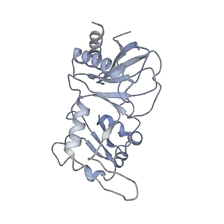 6696_5ydt_U5_v1-3
Remodeled Utp30 in 90S pre-ribosome (Mtr4-depleted, Enp1-TAP)