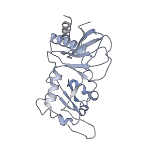 6696_5ydt_U5_v1-4
Remodeled Utp30 in 90S pre-ribosome (Mtr4-depleted, Enp1-TAP)