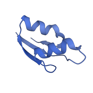 10791_6yef_2_v1-1
70S initiation complex with assigned rRNA modifications from Staphylococcus aureus