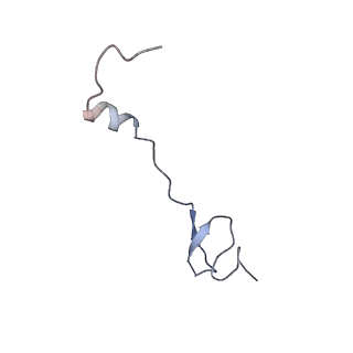 10791_6yef_4_v1-1
70S initiation complex with assigned rRNA modifications from Staphylococcus aureus