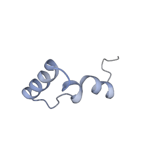 10791_6yef_6_v1-1
70S initiation complex with assigned rRNA modifications from Staphylococcus aureus