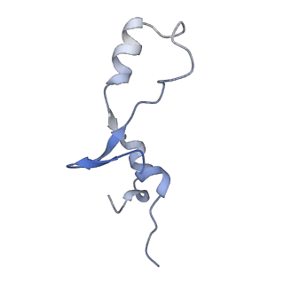 10791_6yef_7_v1-1
70S initiation complex with assigned rRNA modifications from Staphylococcus aureus