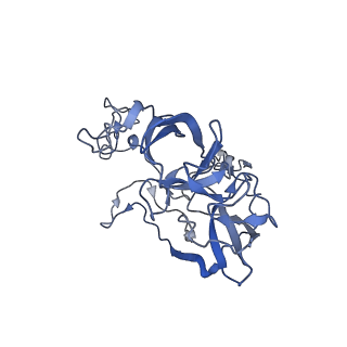 10791_6yef_D_v1-1
70S initiation complex with assigned rRNA modifications from Staphylococcus aureus