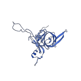 10791_6yef_E_v1-1
70S initiation complex with assigned rRNA modifications from Staphylococcus aureus