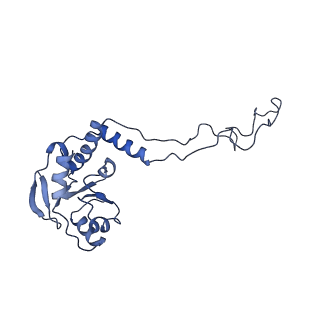 10791_6yef_F_v1-1
70S initiation complex with assigned rRNA modifications from Staphylococcus aureus