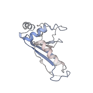 10791_6yef_G_v1-1
70S initiation complex with assigned rRNA modifications from Staphylococcus aureus