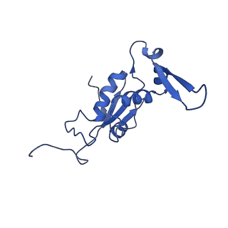 10791_6yef_M_v1-1
70S initiation complex with assigned rRNA modifications from Staphylococcus aureus