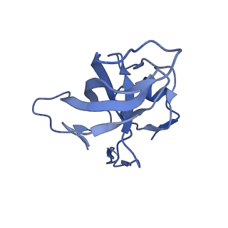 10791_6yef_N_v1-1
70S initiation complex with assigned rRNA modifications from Staphylococcus aureus