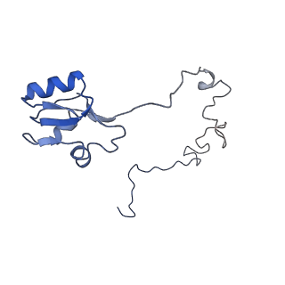 10791_6yef_O_v1-1
70S initiation complex with assigned rRNA modifications from Staphylococcus aureus