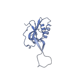 10791_6yef_P_v1-1
70S initiation complex with assigned rRNA modifications from Staphylococcus aureus