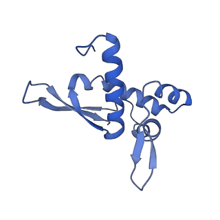 10791_6yef_Q_v1-1
70S initiation complex with assigned rRNA modifications from Staphylococcus aureus