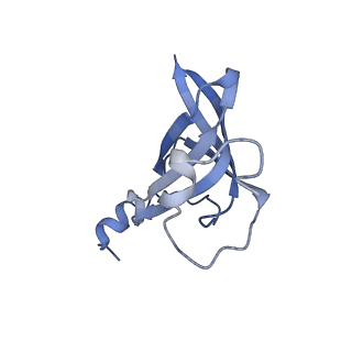 10791_6yef_S_v1-1
70S initiation complex with assigned rRNA modifications from Staphylococcus aureus