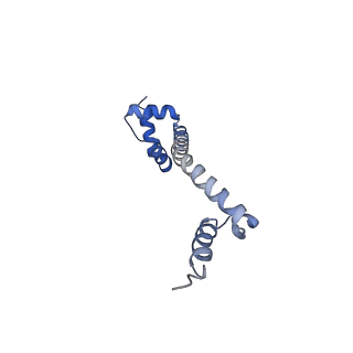 10791_6yef_T_v1-1
70S initiation complex with assigned rRNA modifications from Staphylococcus aureus