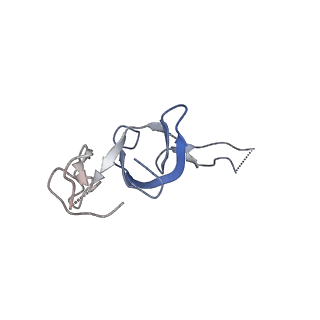 10791_6yef_X_v1-1
70S initiation complex with assigned rRNA modifications from Staphylococcus aureus