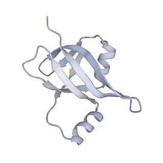 10791_6yef_Y_v1-1
70S initiation complex with assigned rRNA modifications from Staphylococcus aureus