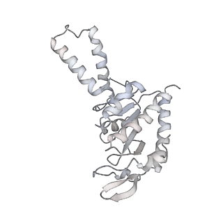 10791_6yef_b_v1-1
70S initiation complex with assigned rRNA modifications from Staphylococcus aureus