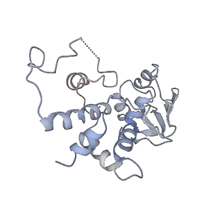 10791_6yef_d_v1-1
70S initiation complex with assigned rRNA modifications from Staphylococcus aureus