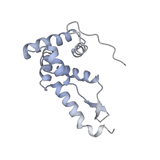 10791_6yef_g_v1-1
70S initiation complex with assigned rRNA modifications from Staphylococcus aureus