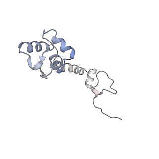 10791_6yef_m_v1-1
70S initiation complex with assigned rRNA modifications from Staphylococcus aureus