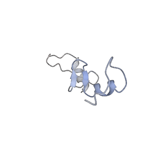 10791_6yef_n_v1-1
70S initiation complex with assigned rRNA modifications from Staphylococcus aureus