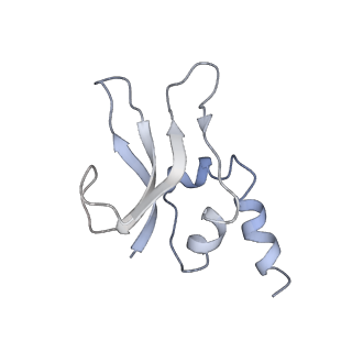 10791_6yef_p_v1-1
70S initiation complex with assigned rRNA modifications from Staphylococcus aureus