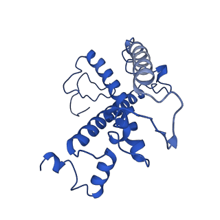 10798_6yez_1_v1-1
Plant PSI-ferredoxin-plastocyanin supercomplex