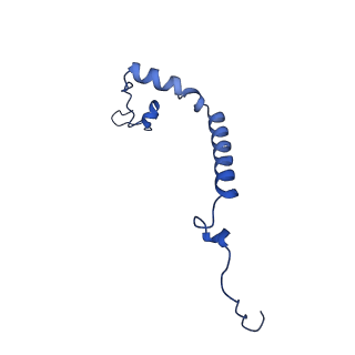 10798_6yez_H_v1-1
Plant PSI-ferredoxin-plastocyanin supercomplex
