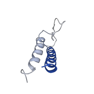10798_6yez_K_v1-1
Plant PSI-ferredoxin-plastocyanin supercomplex