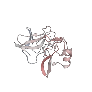 1886_2yew_D_v1-3
Modeling Barmah Forest virus structural proteins