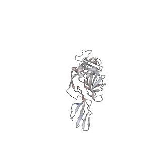 1886_2yew_F_v1-3
Modeling Barmah Forest virus structural proteins