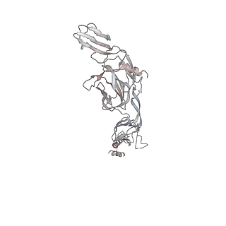 1886_2yew_I_v1-3
Modeling Barmah Forest virus structural proteins