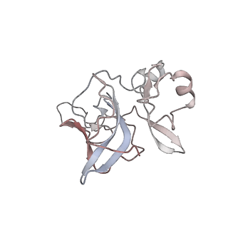 1886_2yew_J_v1-3
Modeling Barmah Forest virus structural proteins