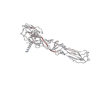 1886_2yew_K_v1-3
Modeling Barmah Forest virus structural proteins