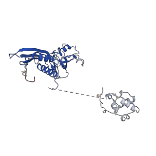 33761_7ye1_A_v1-0
The cryo-EM structure of C. crescentus GcrA-TACup