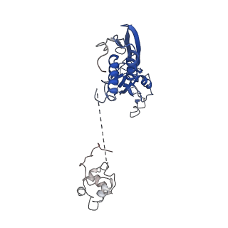 33762_7ye2_A_v1-0
The cryo-EM structure of C. crescentus GcrA-TACdown