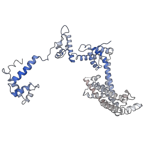 33762_7ye2_F_v1-0
The cryo-EM structure of C. crescentus GcrA-TACdown